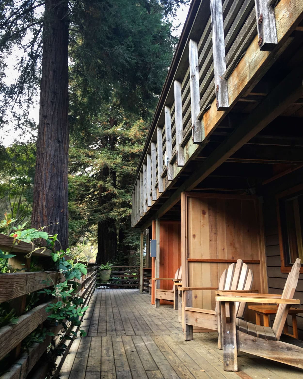 Big Sur River Inn - Main image