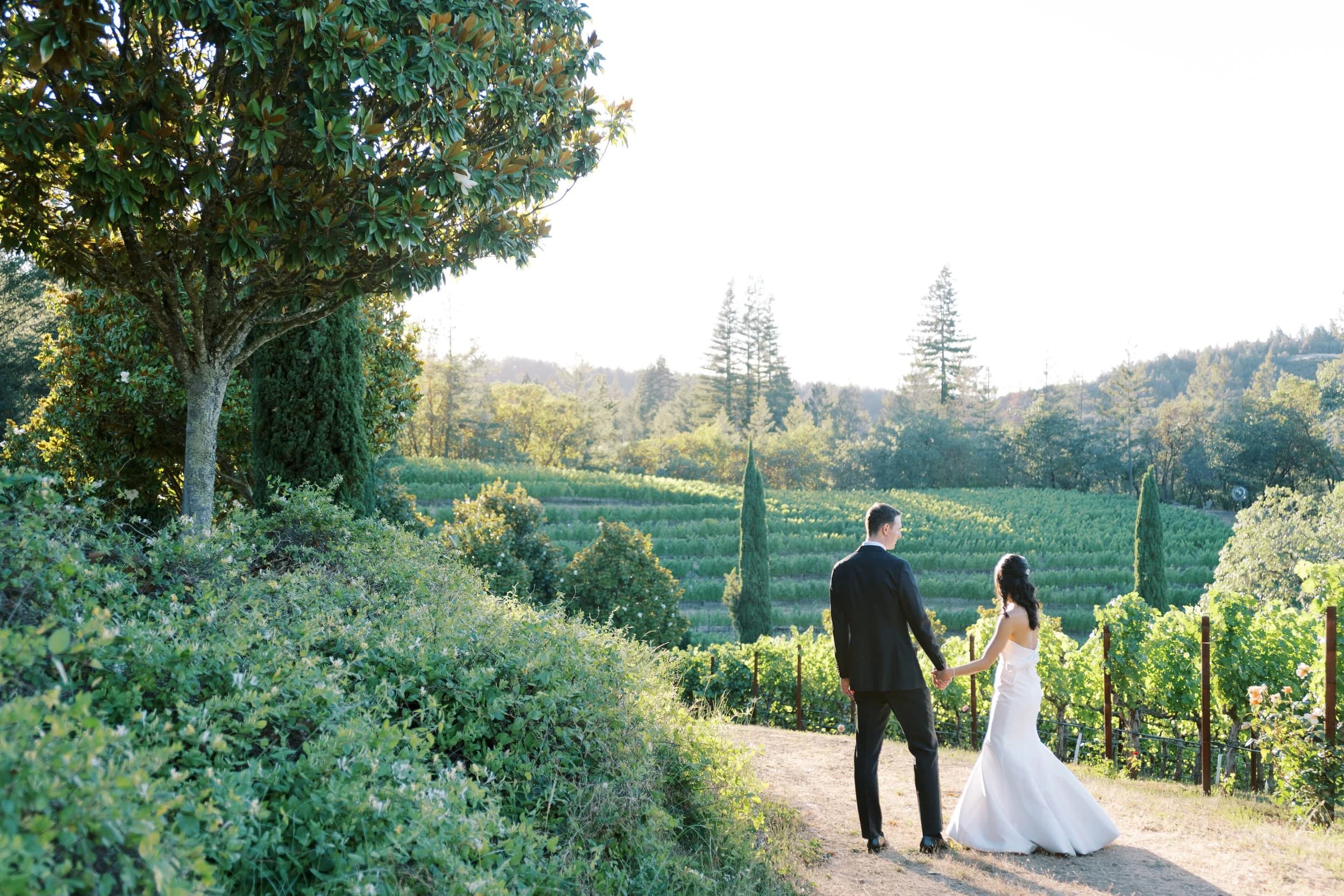 Calistoga Vineyard Estate - Main image