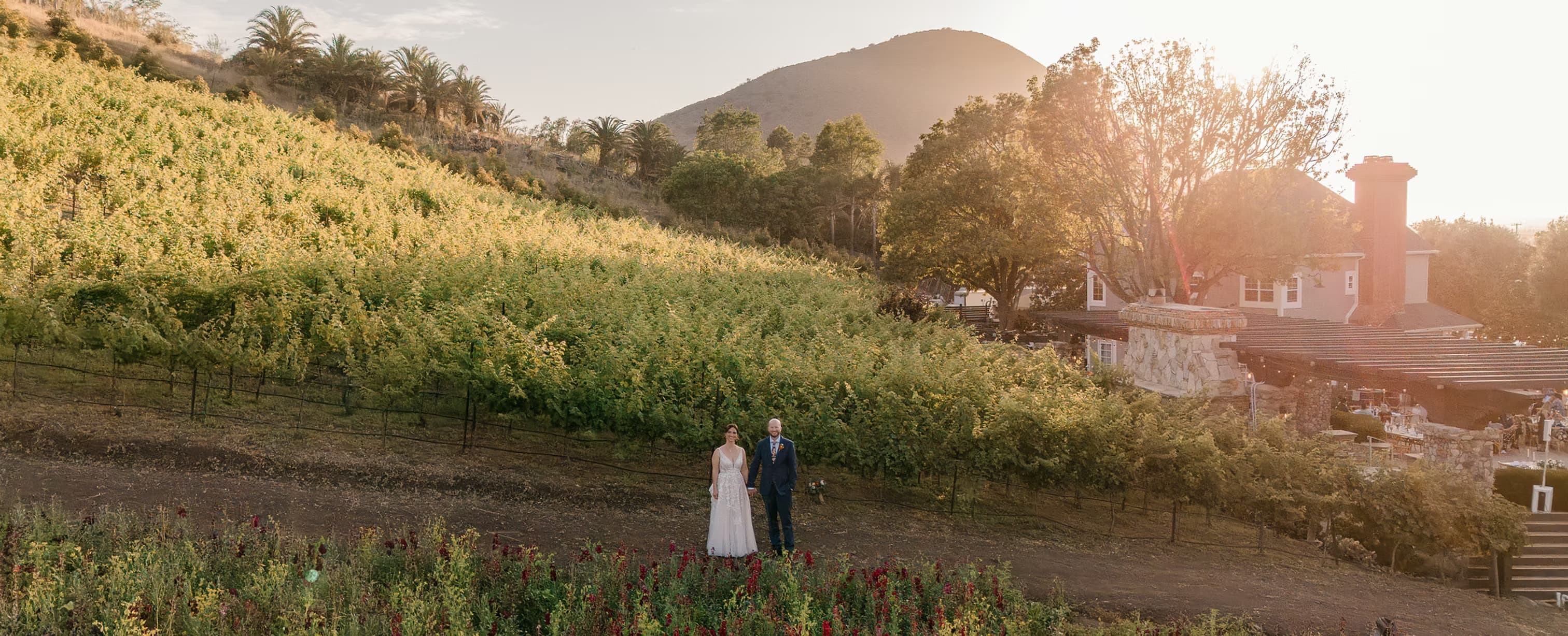 Casi Cielo Vineyards - Main image