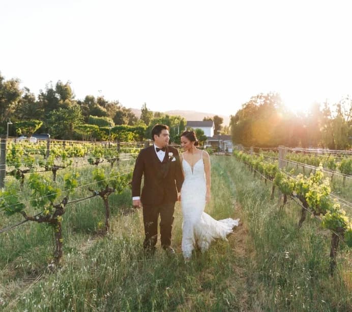 Cline Family Cellars - Main image
