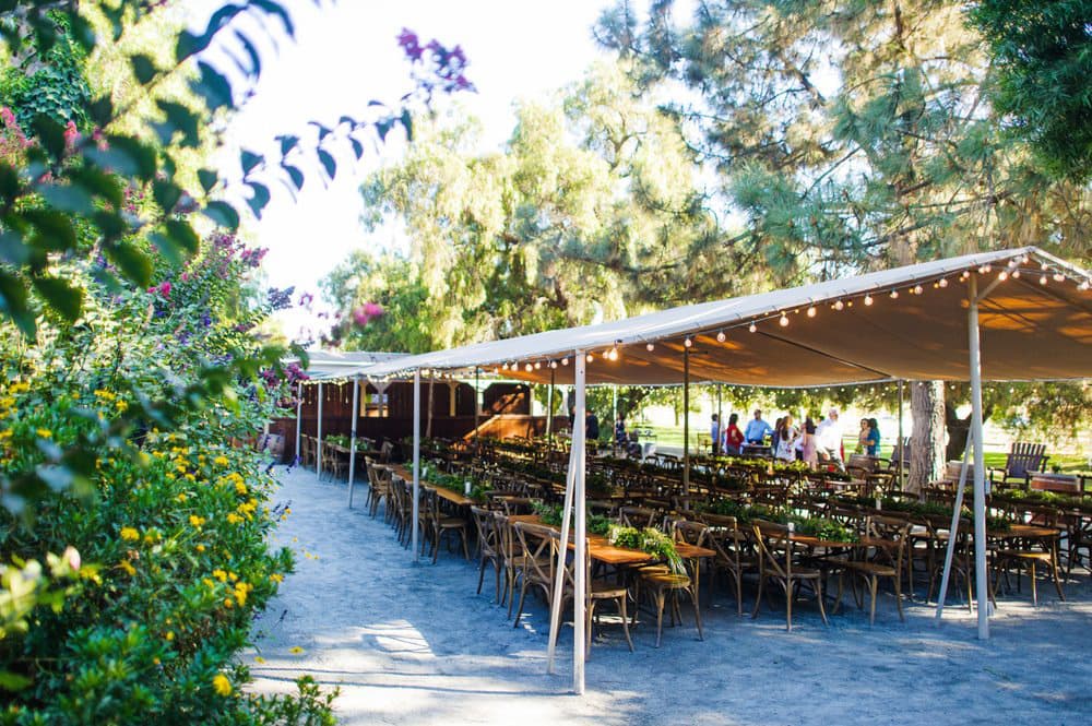 Coyote Ranch - Main image