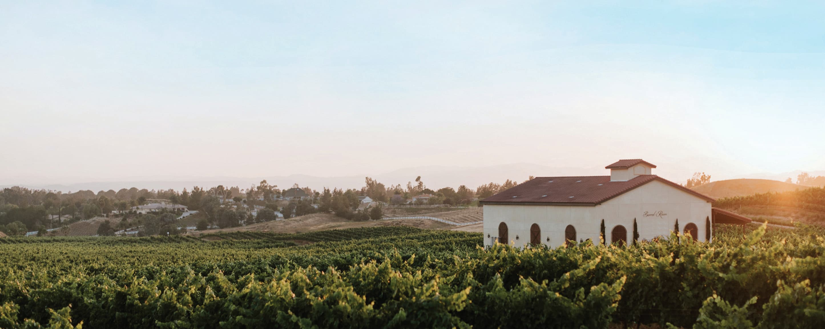 Danza Del Sol Winery - Main image