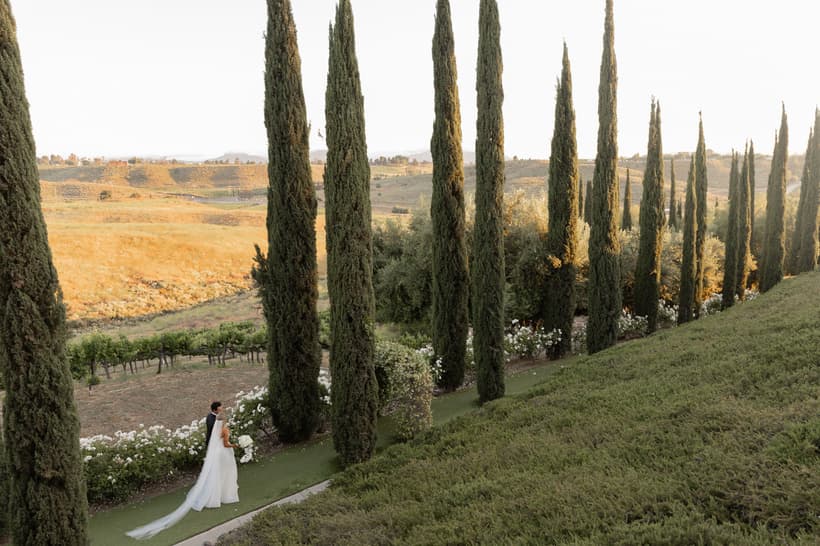 Falkner Winery - Main image