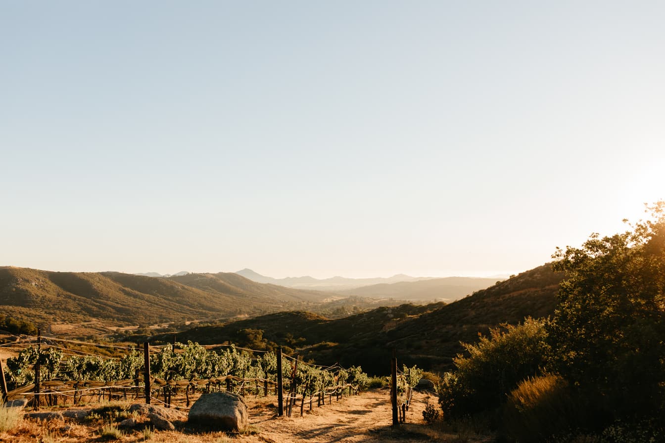 Milagro Winery - Main image