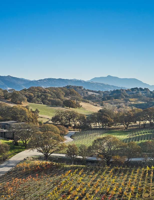 Montage Healdsburg - Main image