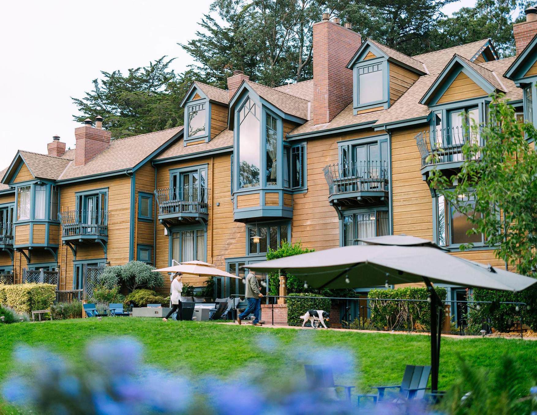Olema House - Main image