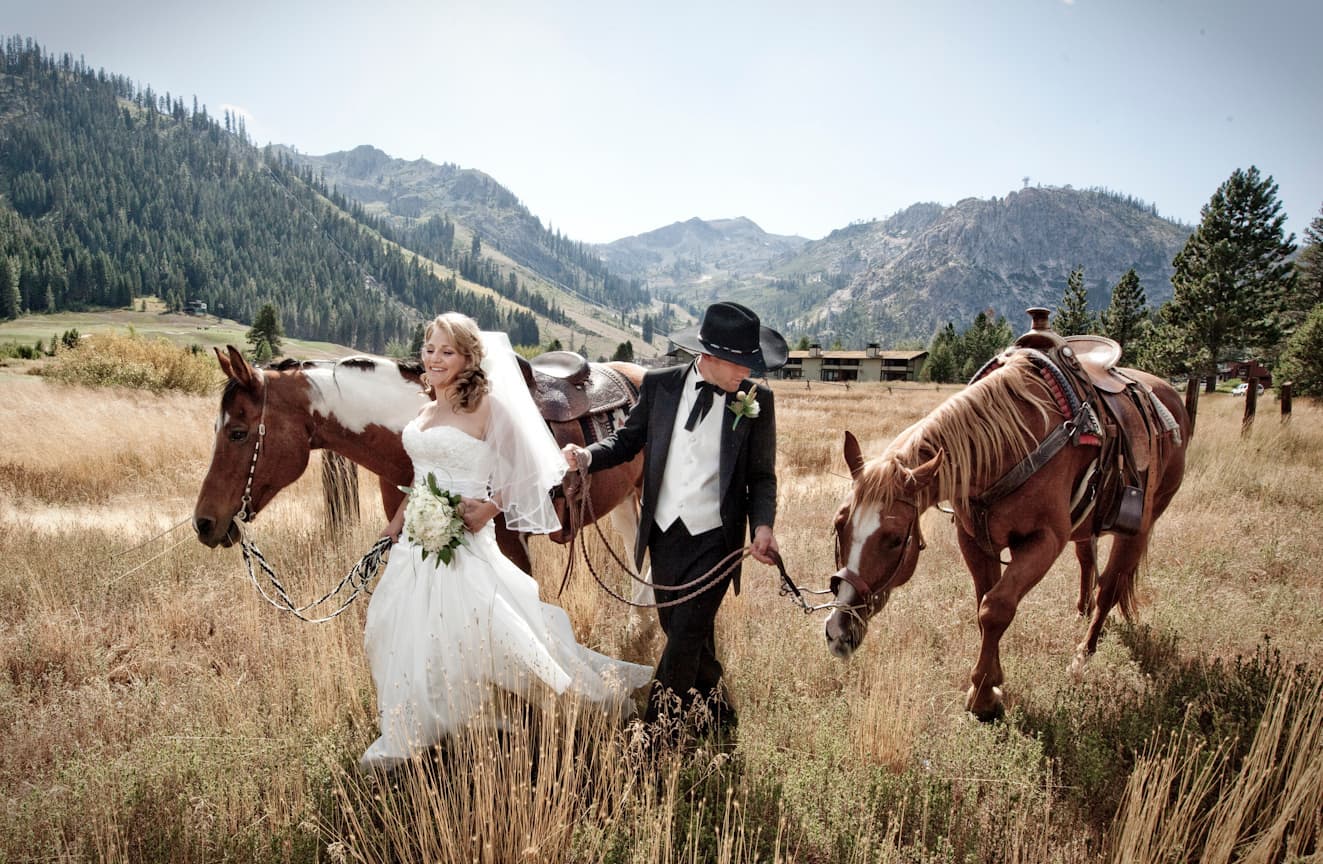 Olympic Valley Stables - Main image