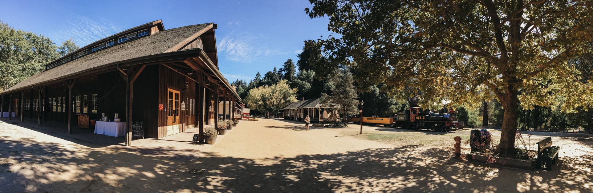 Roaring Camp - Main image