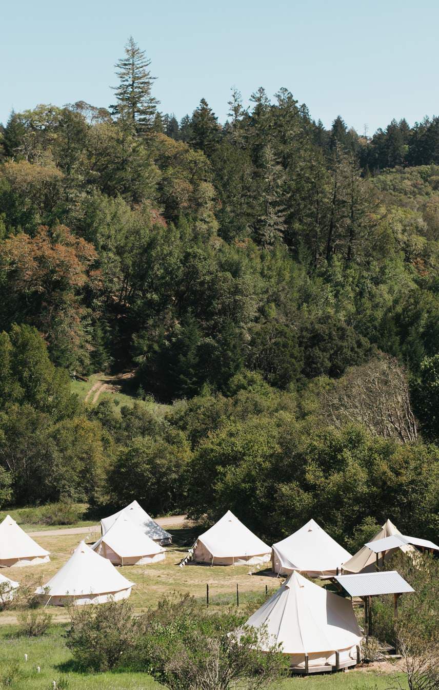 Whispertree Retreat - Main image