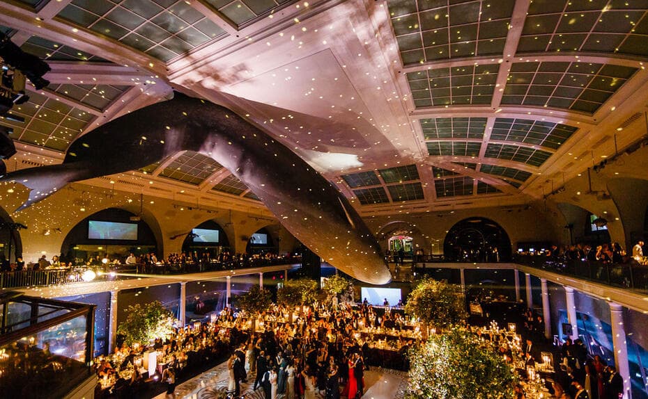 American Museum of Natural History - Main image