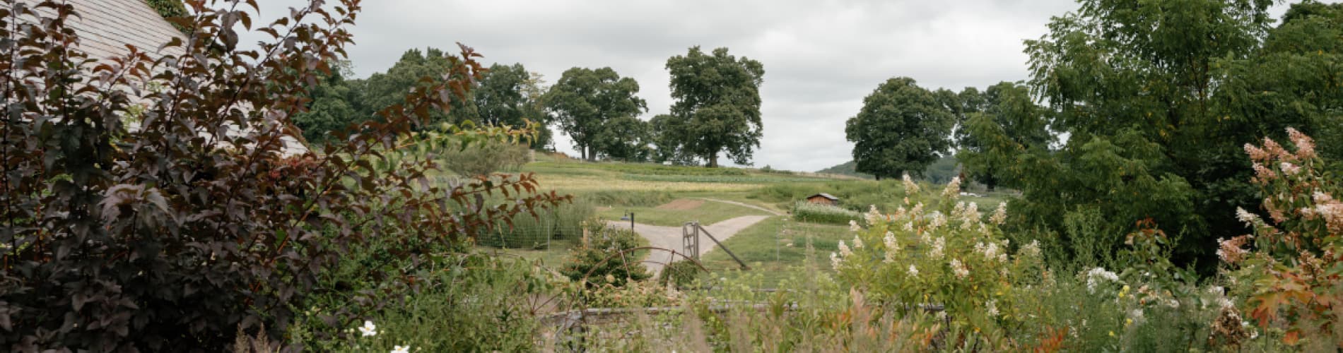 Blue Hill at Stone Barns - Main image