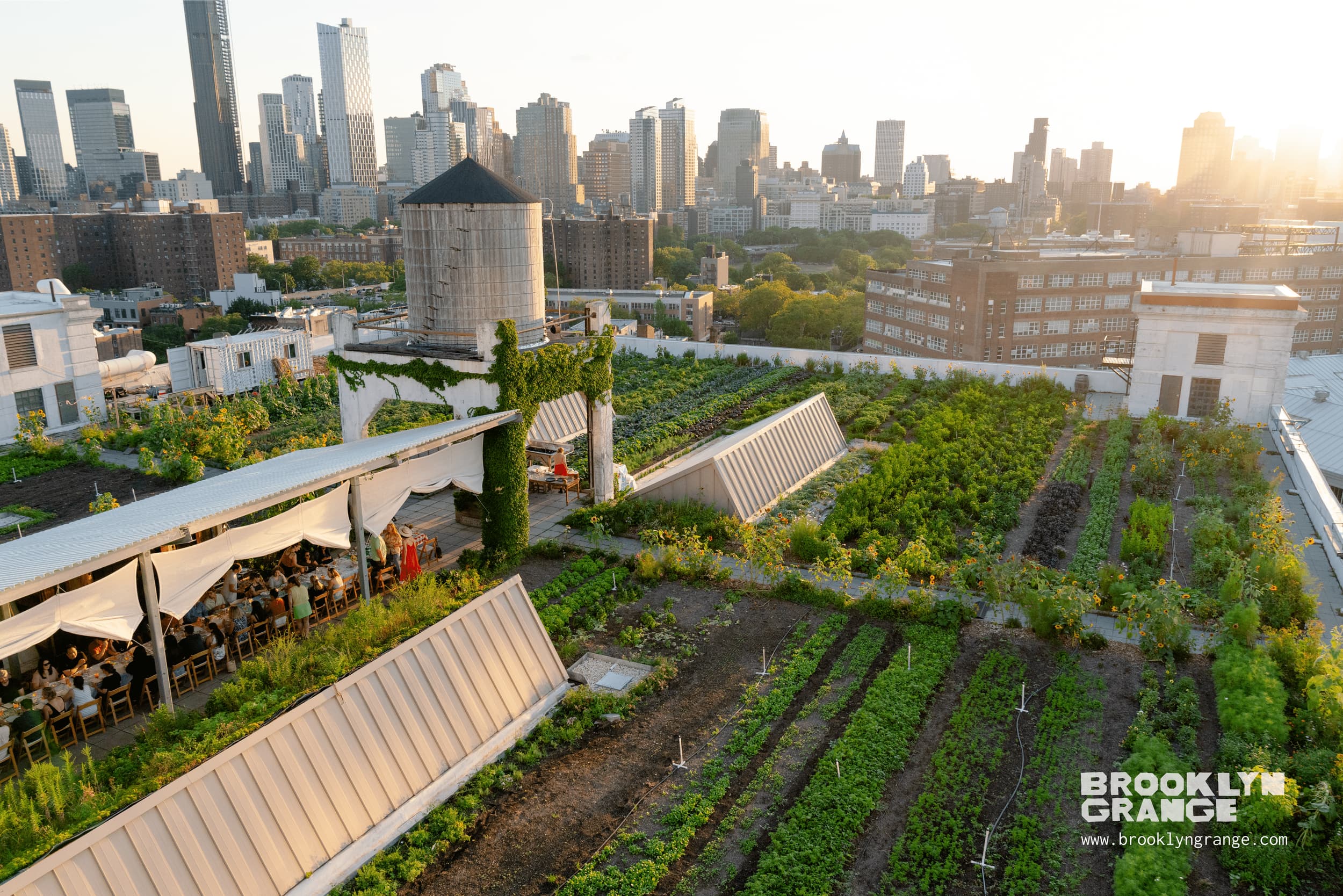 Brooklyn Grange - Main image