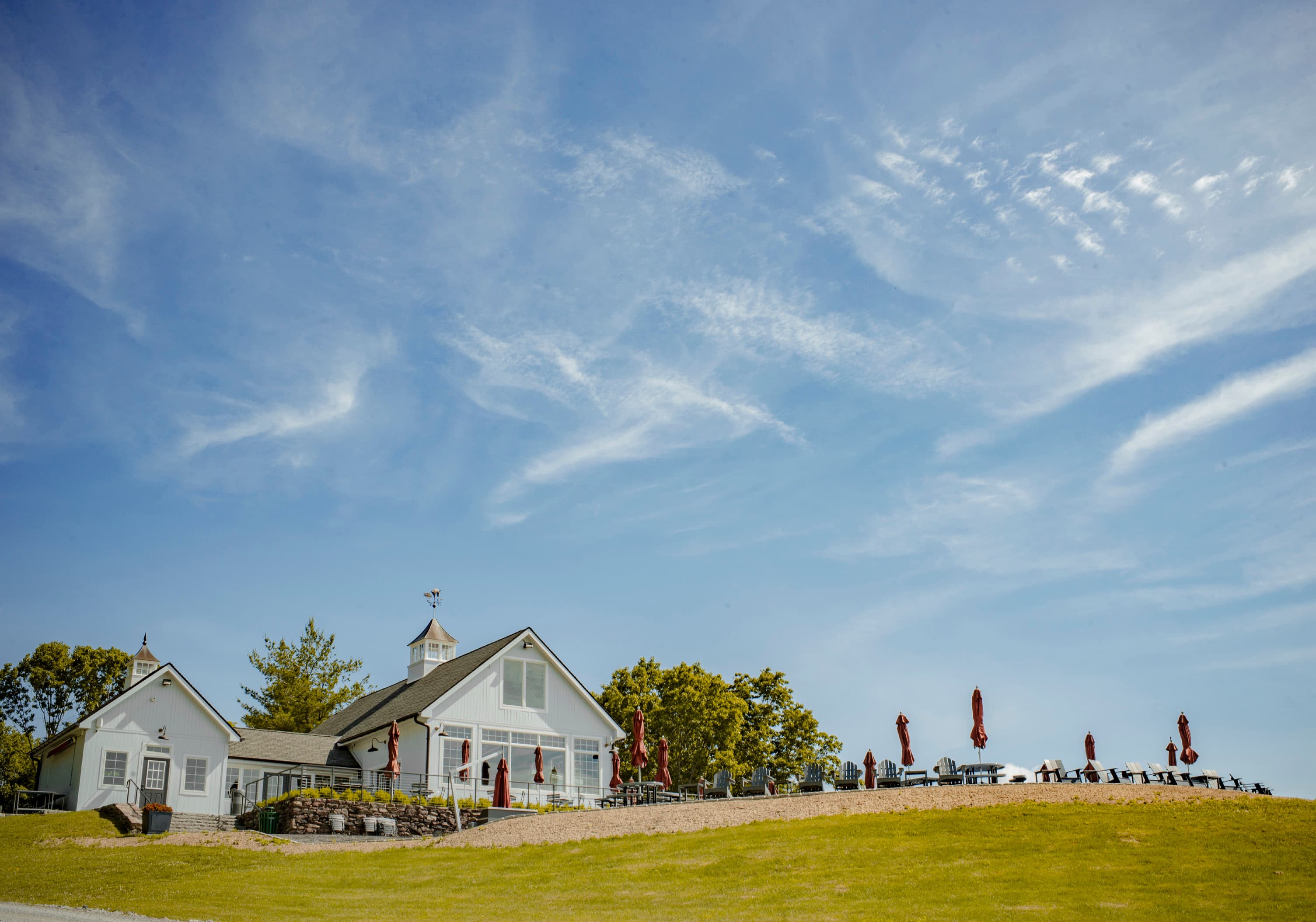 Milea Estate Vineyard - Main image