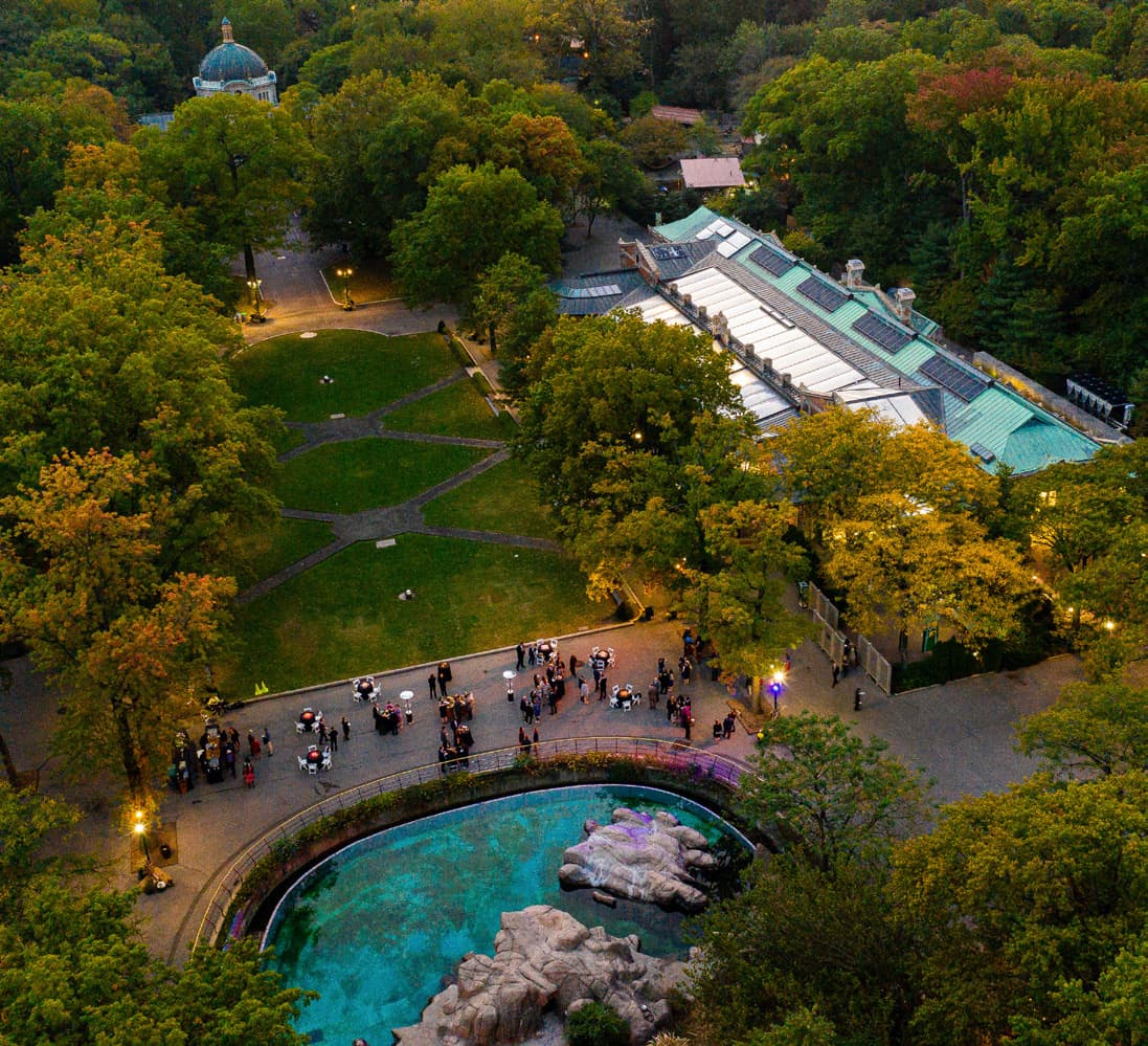 The Bronx Zoo - Main image
